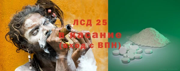 PSILOCYBIN Алексеевка