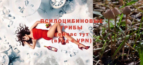PSILOCYBIN Алексеевка